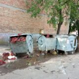 Smeće ponovo zatrpava Zrenjanince 1