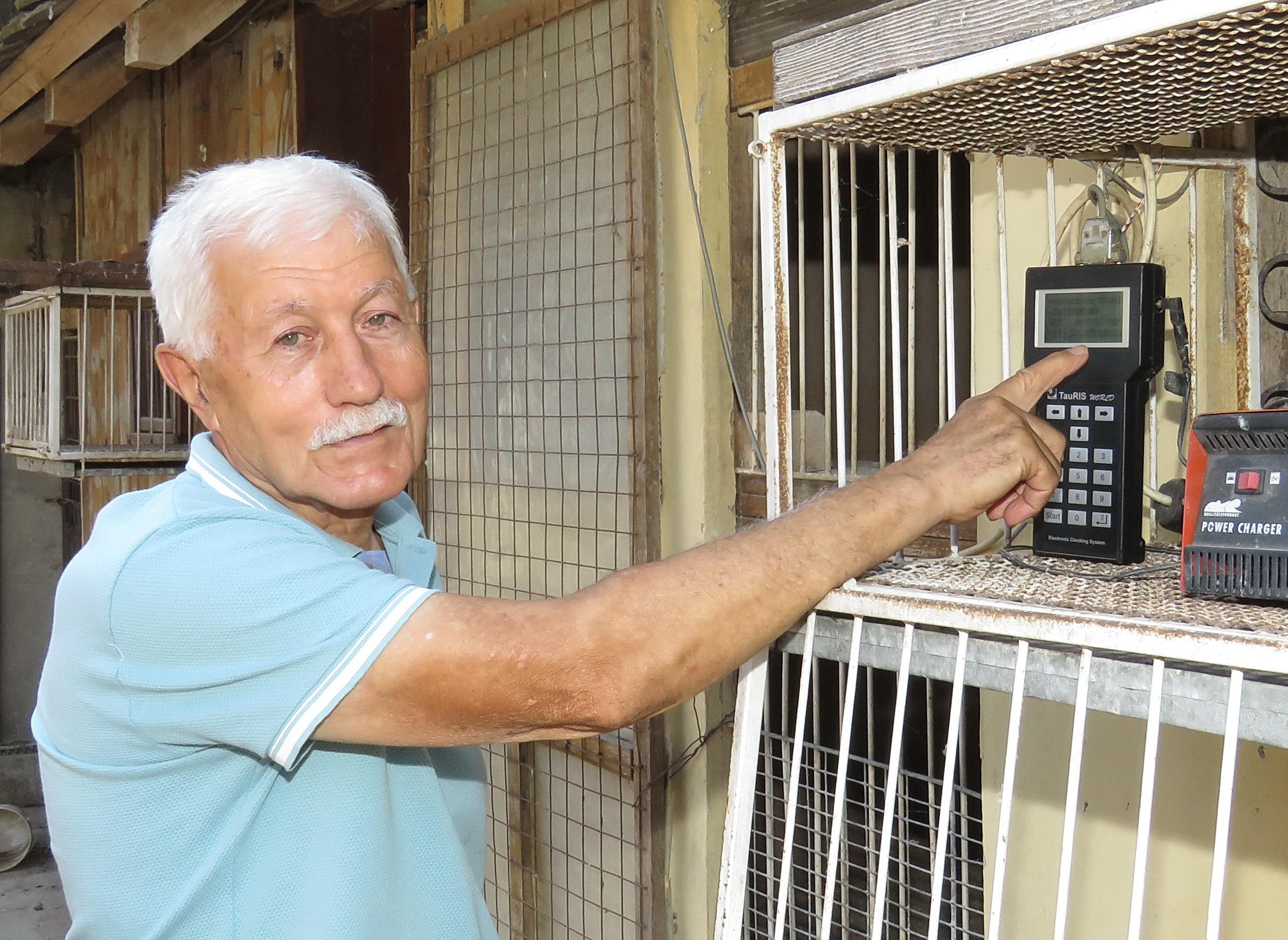 Podvig srpskog goluba pismonoše: Iz San Sebastijana leteo 21 dan do Tabanovića kod Šapca 3