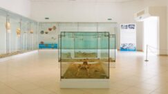 Majdanpek, Lepenski Vir Majdanpek: Lepenski Vir , kultura koja je svojim otkrićem zapanjila svet 5