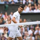 Vesna Pešić o Novaku Đokoviću: Kad zaraziš mozak ne valja, izgleda da mu piramide u Bosni nisu pomogle 1