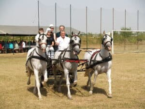 "Život je postao suviše brz, a fijaker nas uspori, smiri i vrati u neka prošla vremena": Porodica Geratović iz Drenovca kod Šapca o svojoj ljubavi prema konjima 2 "Život je postao suviše brz, a fijaker nas uspori, smiri i vrati u neka prošla vremena": Porodica Geratović iz Drenovca kod Šapca o svojoj ljubavi prema konjima 2