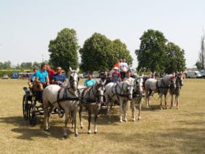 "Život je postao suviše brz, a fijaker nas uspori, smiri i vrati u neka prošla vremena": Porodica Geratović iz Drenovca kod Šapca o svojoj ljubavi prema konjima 4 "Život je postao suviše brz, a fijaker nas uspori, smiri i vrati u neka prošla vremena": Porodica Geratović iz Drenovca kod Šapca o svojoj ljubavi prema konjima 4