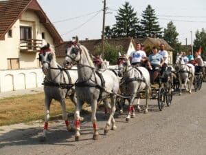 "Život je postao suviše brz, a fijaker nas uspori, smiri i vrati u neka prošla vremena": Porodica Geratović iz Drenovca kod Šapca o svojoj ljubavi prema konjima 3 "Život je postao suviše brz, a fijaker nas uspori, smiri i vrati u neka prošla vremena": Porodica Geratović iz Drenovca kod Šapca o svojoj ljubavi prema konjima 3