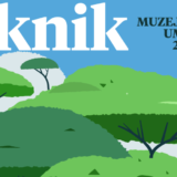 Piknik u Muzeju afričke umetnosti 6