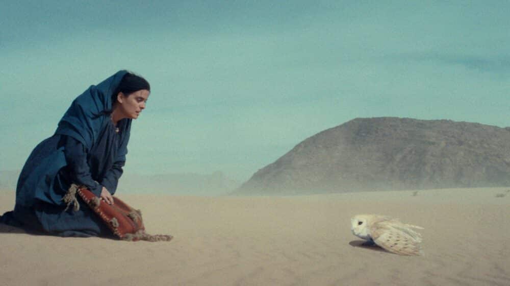 Reditelj filma "Sveta Petka - Krst u pustinji" o agresivnim porukama prema LGBT zajednici: Isključivost se veštački gradi i medijski pumpa 1