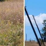 U bujanovačkom selu Spančevac već duže vreme leži bandera pod naponom - nadležni ništa ne preduzimaju 14