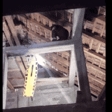 Filmska priča u selu kod Negotina: Čovek iščašio veštački kuk na 13 metara visine, vatrogasci ga konopcima spustili do lekara 4