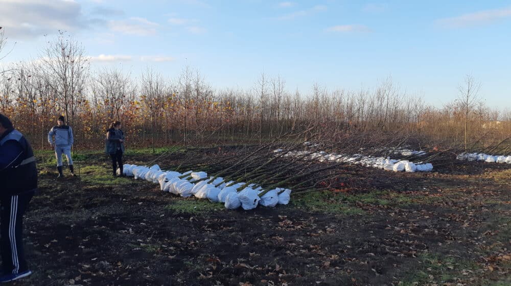 Udruženje građana “Zelena oaza - Subotica”: Umesto deponije Žednička šuma 1