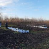 Udruženje građana “Zelena oaza - Subotica”: Umesto deponije Žednička šuma 8