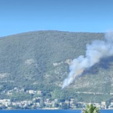 Požar u Njivicama u Crnoj Gori: Ugrožene kuće, Hrvatskoj upućen poziv za pomoć 11