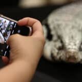 Pogledajte šta se desilo nakon što su deci zabranili mobilne telefone u školama 3