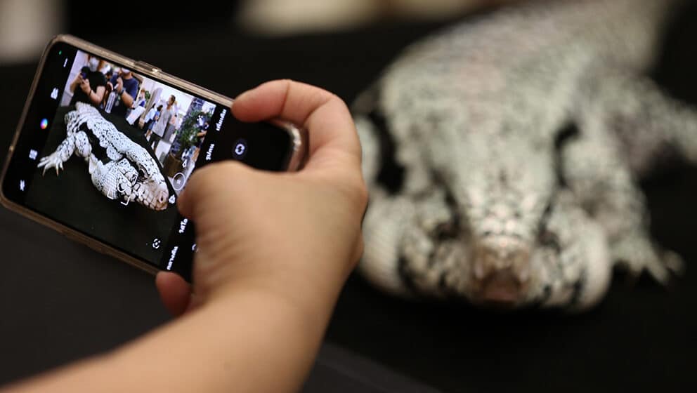 Pogledajte šta se desilo nakon što su deci zabranili mobilne telefone u školama 1