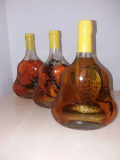 U autobusima zmije i žabe, u pošiljkama tarantule, a automobilima ptice: Koje životinje krijumčari švercuju preko granice 4