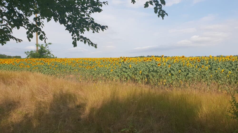 Zrenjanin domaćin evropskim modelarima 1