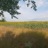 Zrenjanin domaćin evropskim modelarima 1