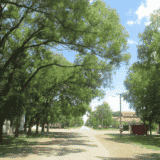 U tri banatska sela jedva hiljadu stanovnika: Kad poštar dolazi jednom nedeljno 7