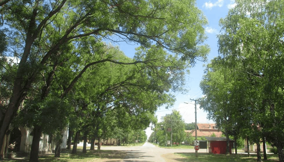 U tri banatska sela jedva hiljadu stanovnika: Kad poštar dolazi jednom nedeljno 1
