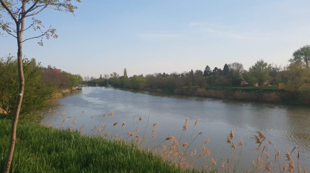 U srednjem Banatu dva smrtna ishoda od groznice Zapadnog Nila 1