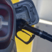 Male benzinske pumpe gube interes da prodaju gorivo po ograničenim cenama 12