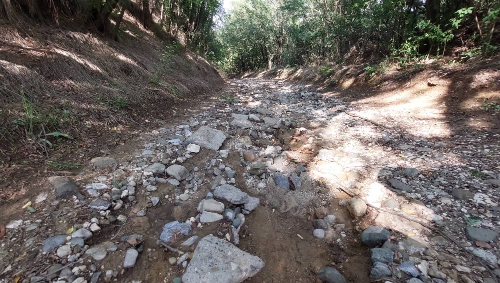 “Ne daj bože da bude požara ili se neko razboli”: Meštani Borovca kod Zaječara mogu samo pešice do grada 2