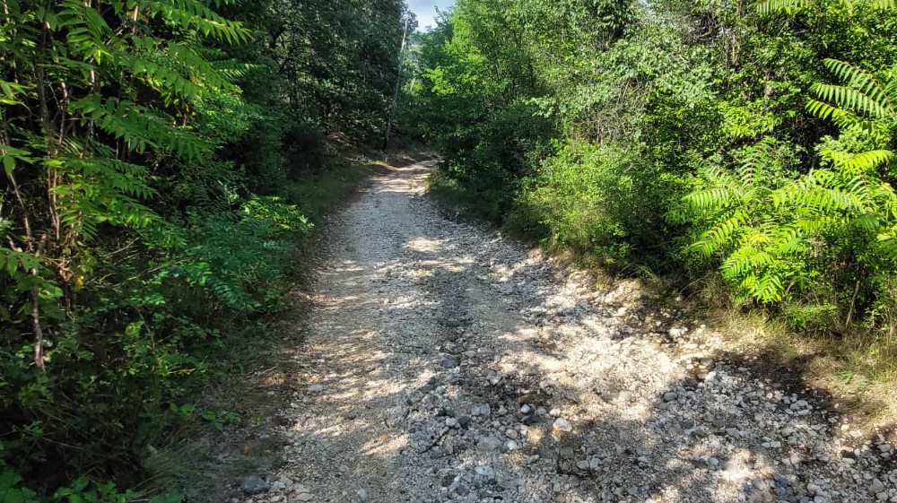 “Ne daj bože da bude požara ili se neko razboli”: Meštani Borovca kod Zaječara mogu samo pešice do grada 4