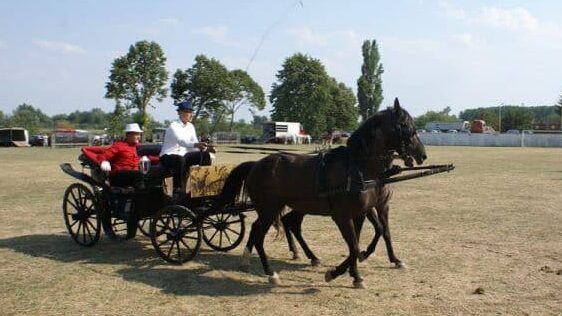 Drenovačka fijakerijada: U šabački kraj stigli najlepši fijakeri iz cele Srbije 1