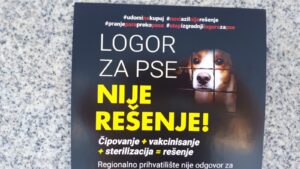Narodna poslanica zahteva od Poverenika da prekršajno goni gradonačelnicu Niša: Sotirovski uskraćuje odgovore o finansiranju regionalnog azila za životinje 3