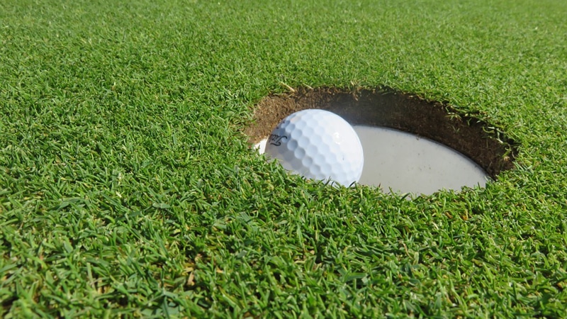 Ekolozi zatrpavaju rupe na golf terenima zbog izuzeća od zabrane zalivanja tokom suše 1