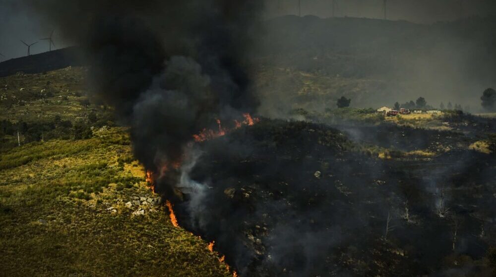U Portugalu 10.000 hektara šume izgorelo na zaštićenom području 1