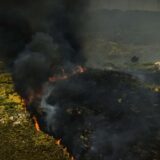 U Portugalu 10.000 hektara šume izgorelo na zaštićenom području 6
