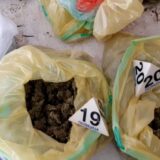 Kod Donjomilanovčana policija pronašla više od 20 kilograma marihuane 8