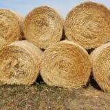 Besplatna analiza poljoprivrednog zemljišta u Novoj Crnji 1