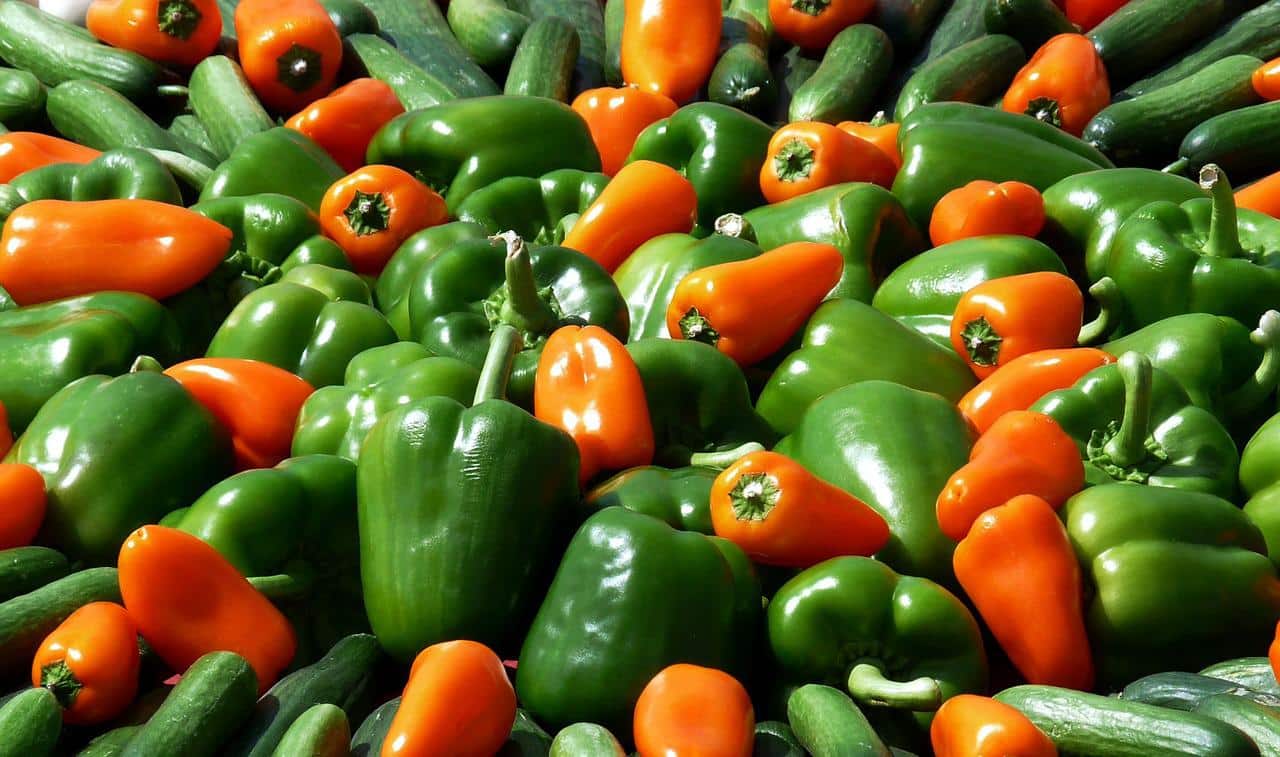 Paprika - povrće za 365 dana: Petnaest ukusnih specijaliteta (RECEPTI) 3