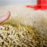 Kakva je situacija na stovarištima peleta nakon Vladine odluke o zamrzavanju cena? 11