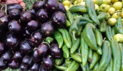 Imam baildi - recept za tursko jelo od plavog patlidžana 3