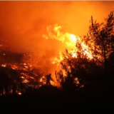Buknuo veliki požar u Istri 11