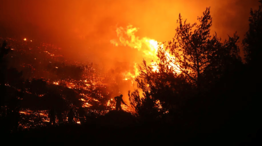 Buknuo veliki požar u Istri 1