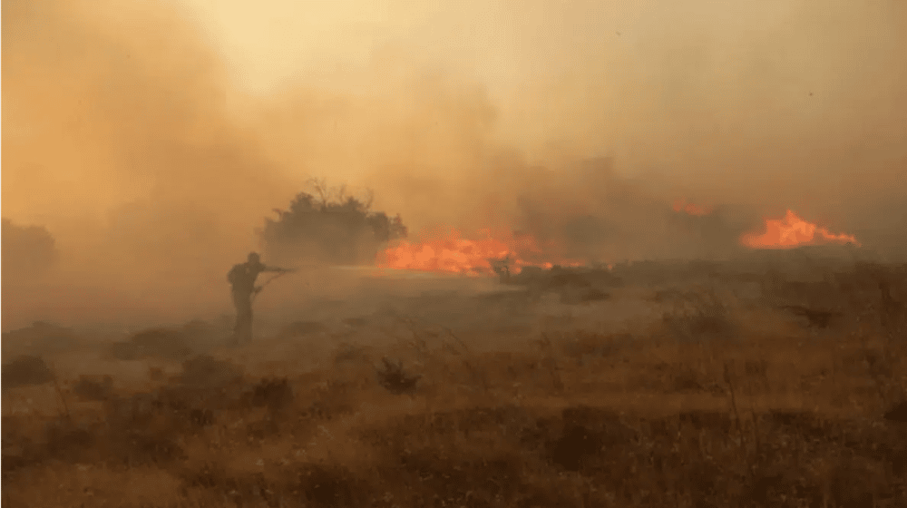 Izbio požar u okolini rafinerije u Novom Sadu (VIDEO) 1