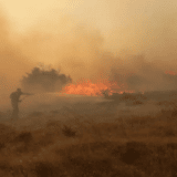 Izbio požar u okolini rafinerije u Novom Sadu (VIDEO) 15