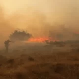 Požar na Šar planini u Severnoj Makedoniji 1