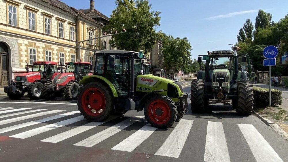 Zlatko Kokanović: "Ukoliko mi se nešto dogodi biće odgovorni Vučić, Brnabić i Vučević" 2 Zlatko Kokanović: "Ukoliko mi se nešto dogodi biće odgovorni Vučić, Brnabić i Vučević" 2
