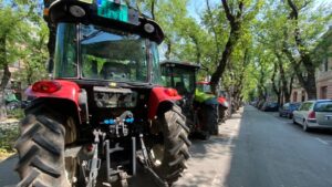 Zašto se ne isplati proizvodnja pšenice: Računica subotičkog paora 2