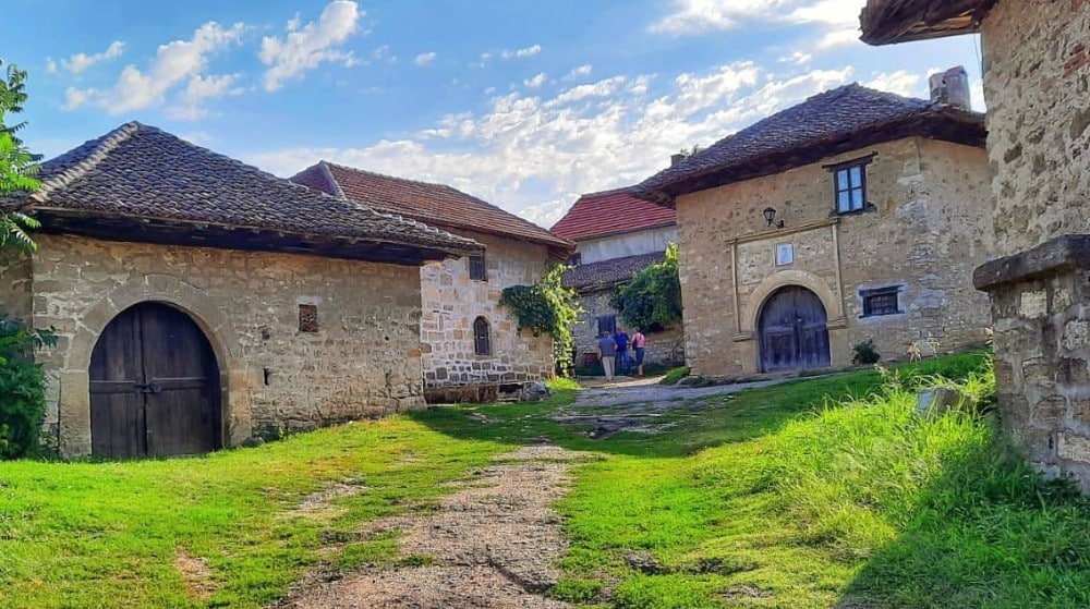 Dani vina i lepog raspoloženja: Darko Rundek otvara sezonu berbe grožđa na Rajačkim pivnicama 1