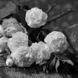 Preminuo Đorđe Andrijašević 3