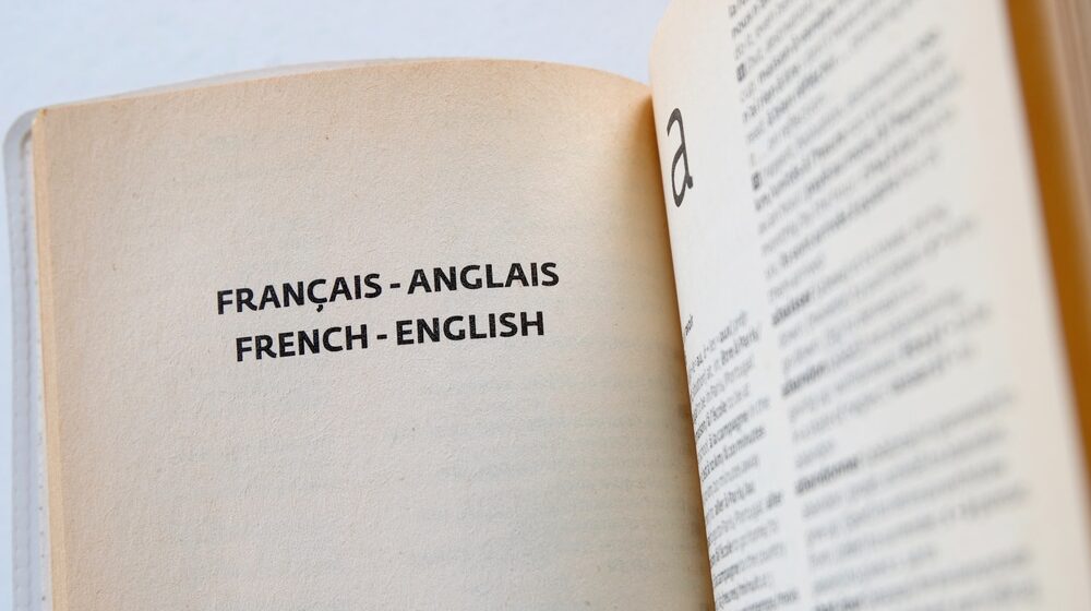 Stanje na Balkanu: Koliko stanovnika Srbije govori strane jezike? (MAPA) 1