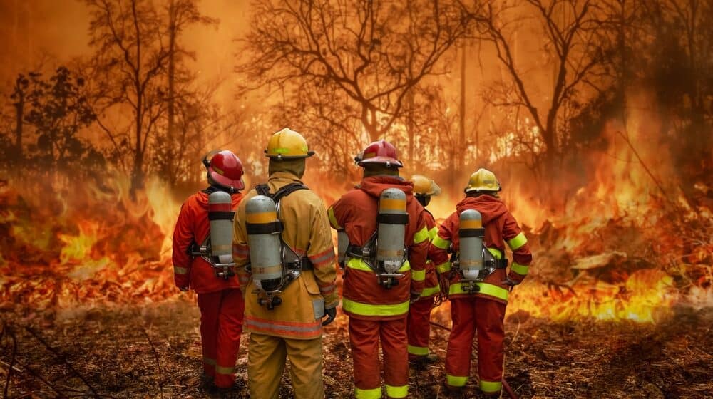 Veliki šumski požar u Valensiji stavljen pod kontrolu 1