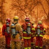 Veliki šumski požar u Valensiji stavljen pod kontrolu 11