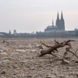 Evropu čekaju još tri sušna i topla meseca 14