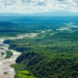 Na samitu o Amazonu pozvane su industrijalizovane zemlje da pomognu u očuvanju prašume 1
