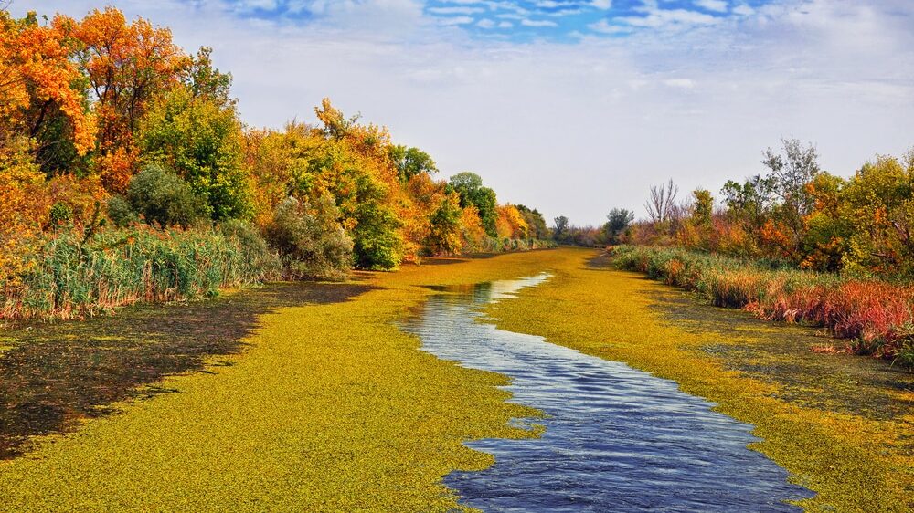 Šta zbog autoputa donose izmene Prostornog plana Carskoj bari 2 Šta zbog autoputa donose izmene Prostornog plana Carskoj bari 2